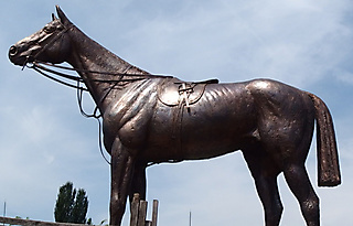 HORSE PORTRAIT OF KINCSEM - GÖD 2016_2